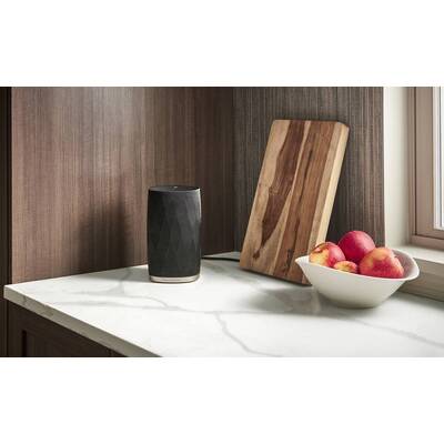 Bowers & Wilkins Formation Flex black Мультирумная активная акустическая система