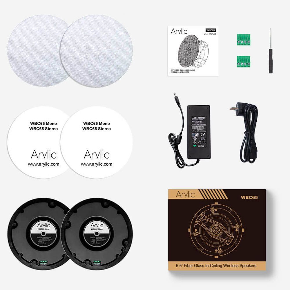 Arylic WBC65 активная АС