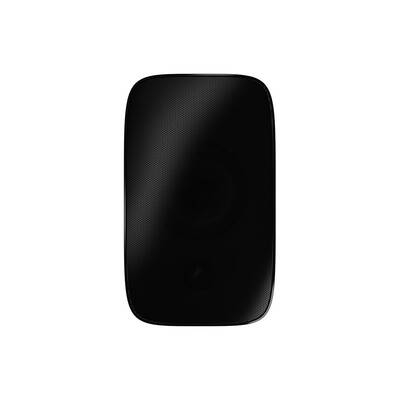 Bowers & Wilkins AM-1 black Настенная акустика