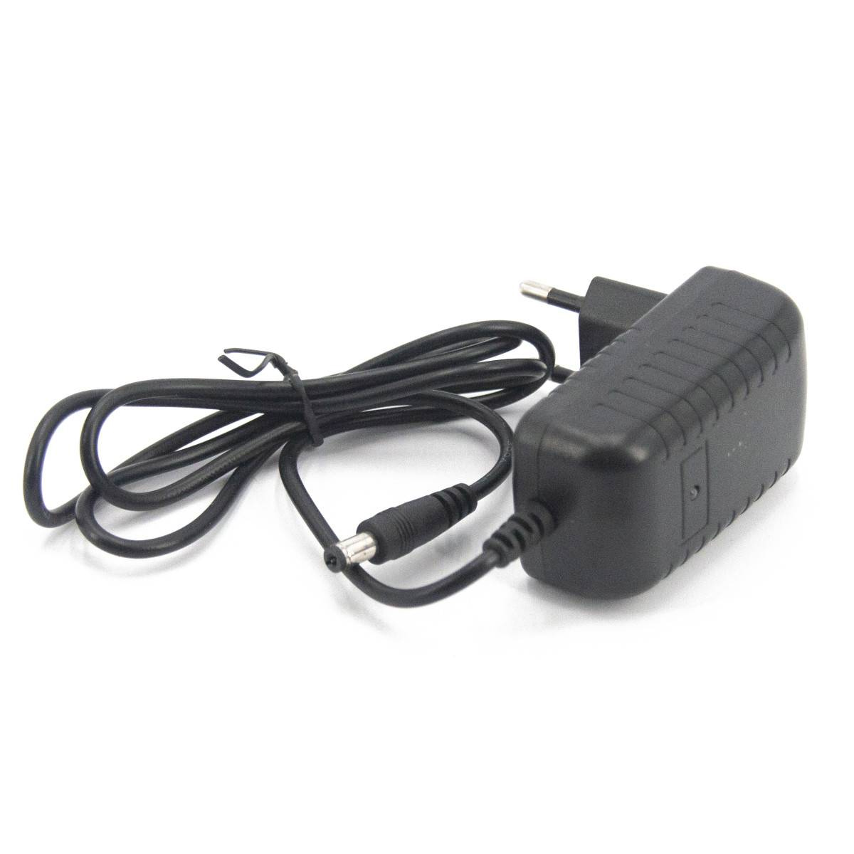 Зарядное устройство RR 12V 1000 mAh для электромобилей - XB-C1210