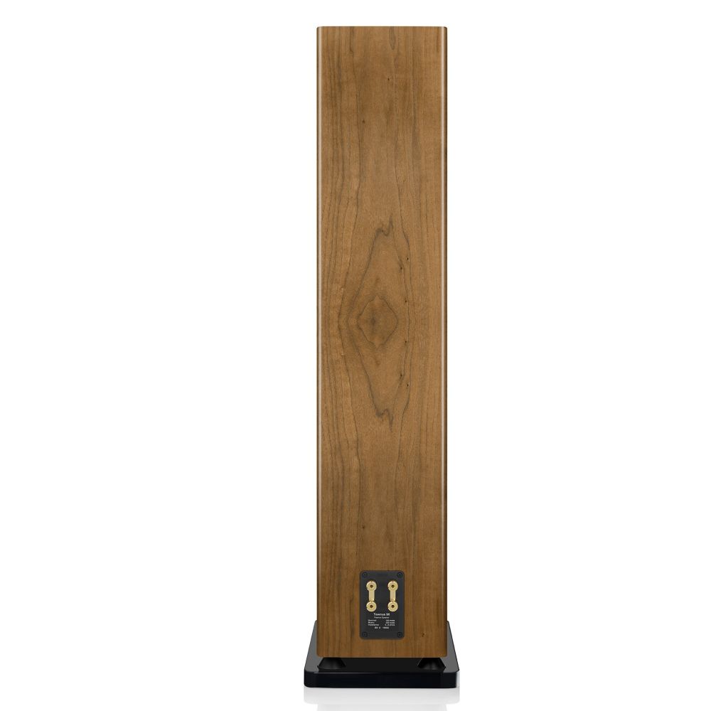 Canton Townus 90 walnut Напольная акустика
