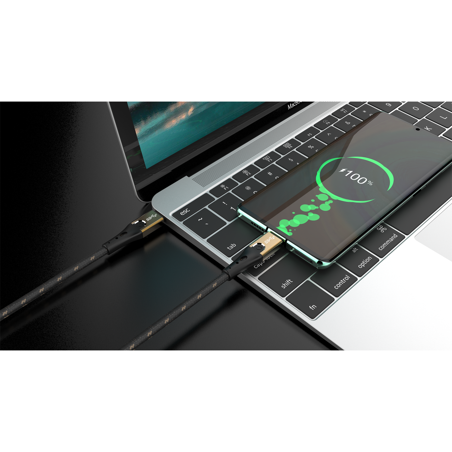 Oehlbach STATE OF THE ART USB Primus CC USB 3.1 Type C-Type C 1,0m USB кабель D1C9531
